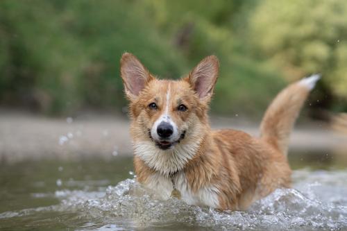 27139114 4fbca6658b986e1fabc6cba0c8ee989a xl