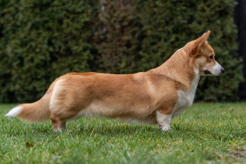 27176584 709ca3a4fa756ff6fb30ba8d2b5fd390 xl