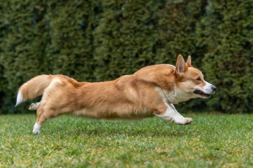 27176586 b7c48118170aa876d2d910ed0414ceed xl