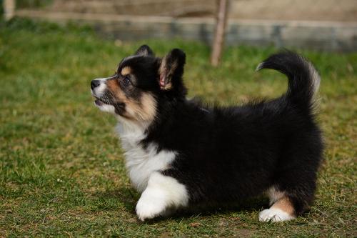 26866139 8f480d4c6a9c734f7a50a6a5905d7dac xl