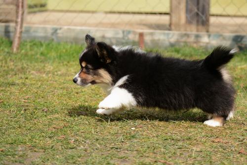 26866141 e2ee5acc50b40d5235f3db5ed6b428e7 xl