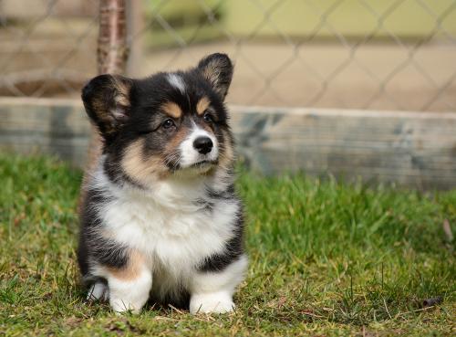 26866143 ddb47d66e6be8e756e0c37cbfc140fea xl