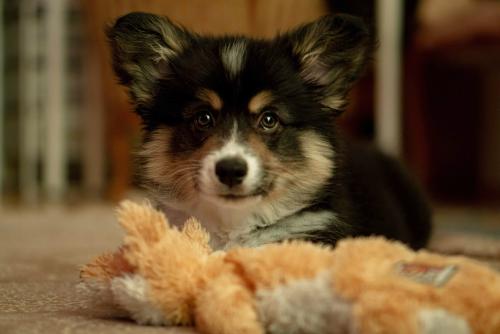 26868891 0f15496dd571b3b98459f7a8d13a8afa xl