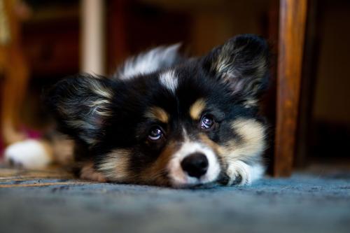 26872845 169003db9a0d4b44a81366b08fb83e92 xl