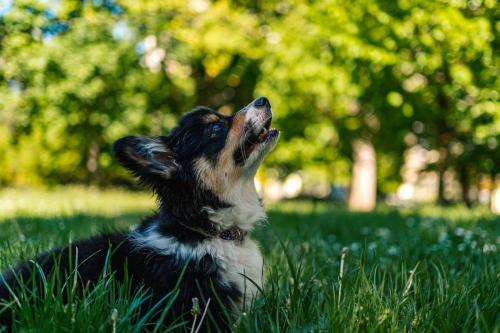 26893617 fe50a5237ab87e1d98130f905446bf7a xl