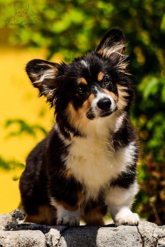 26911167 8f00db22b85f4552f8b12187c7c58ecc xl