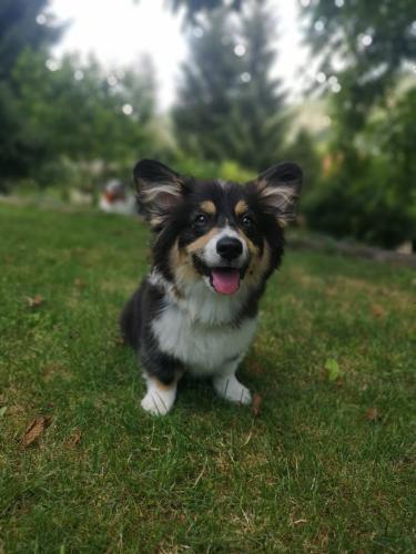 26918045 4ea53fa04df7b6df6d7ee8f84d871666 xl