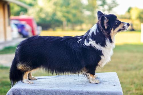 26955239 239a87f5a0b39d643612c68e2455ffec xl