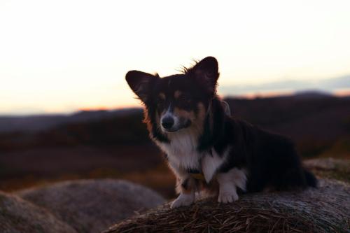 26976695 3e9fb9ed9120fd82447f533ecff2b588 xl