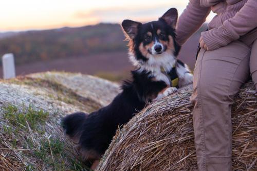 26976697 48a1b17abe46a78c6363dd915510dd6e xl