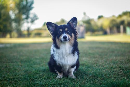 26979141 f277fe092c9f680dfe95ecea21f9e976 xl