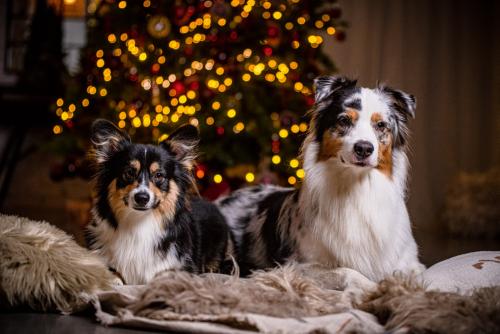 27007207 a9f7c403f65df8a2a31639c3c4bc4f0b xl