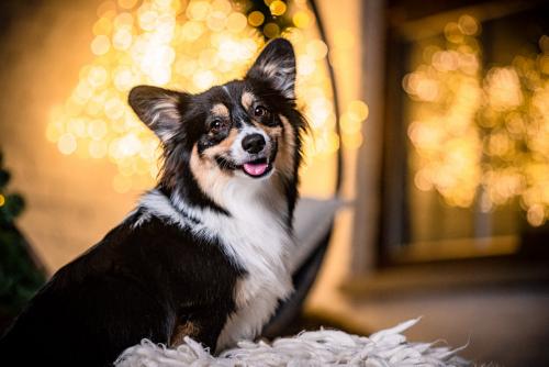 27007211 fa3326d886dca2a864ee42301bb84240 xl