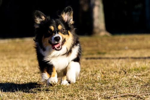 27025819 06181e5ef08e7fc14534f75872b80e15 xl