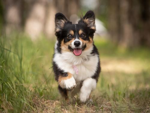 27061799 60d3bedeae814ceed601ad91f324f852 xl