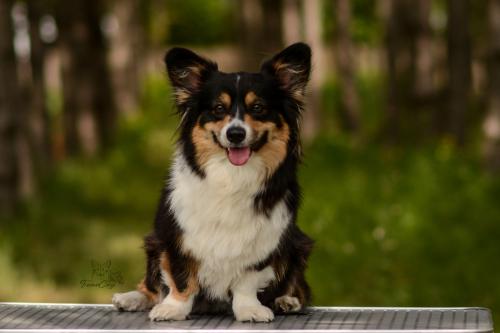 27062095 51bd5f54df7d3deb4c61455c6edc435b xl