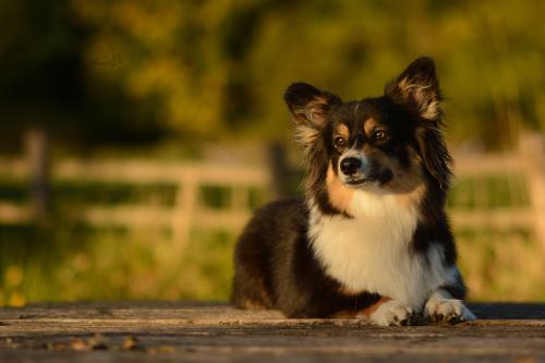 27130194 14d25d459f5ba5250961235177065296 xl