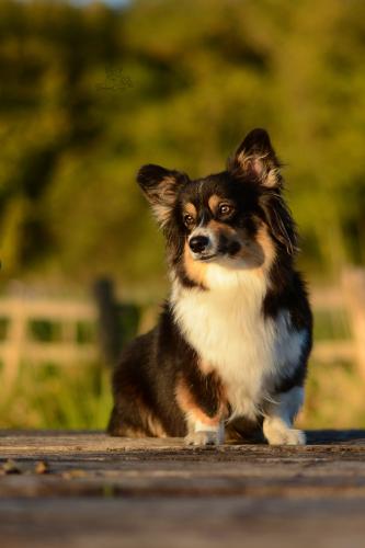 27130702 d32b941804f805815bdc0cfaab0a64d1 xl