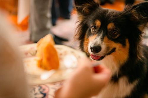 27139186 b927928b8172c9e017954518cc703efb xl