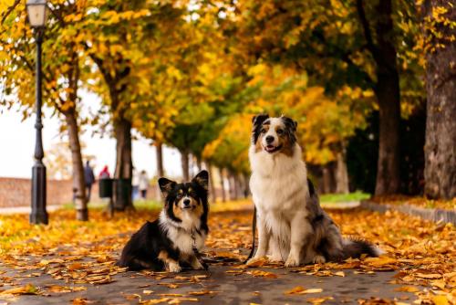 27139190 6dcb61f82a296e20d609c59d505e08e4 xl