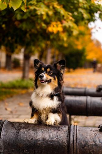 27139192 a7722117553fc3aae571b162ce25f6e0 xl