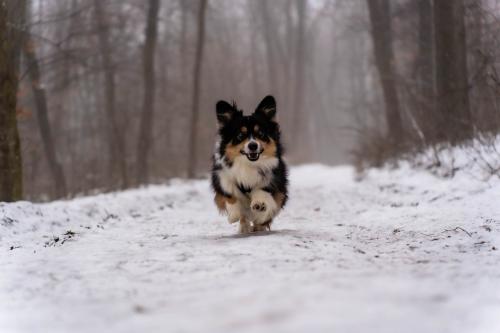 27176576 f9e7d75a2ec4eaeec54ed683238f8c31 xl