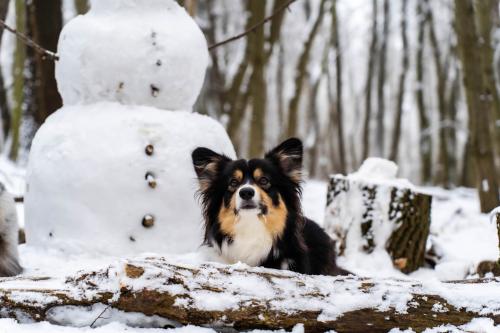 27176578 80aae5cb1b06b91bcf1f44678141f22a xl