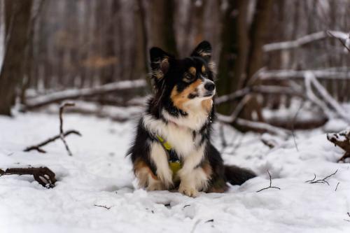 27176580 4b93d79e40aa8ef9470a3812fb046258 xl