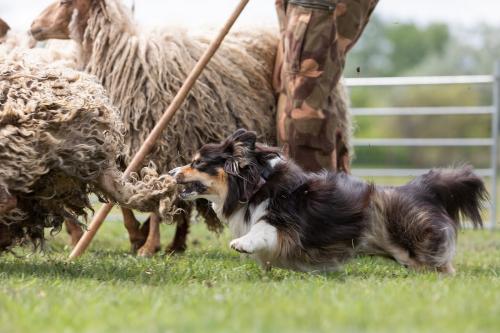 27191952 8942dcdba8f730144e67523e7b22e2aa xl