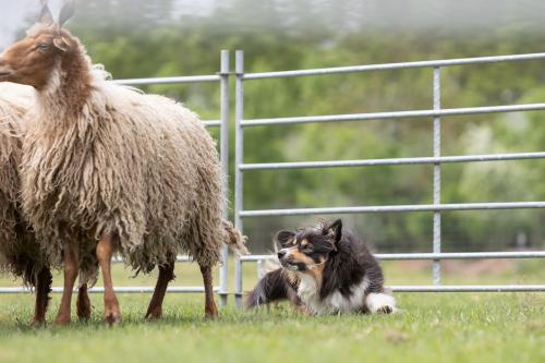 27191954 fe9487d74d9c4416378f99811cda2911 xl