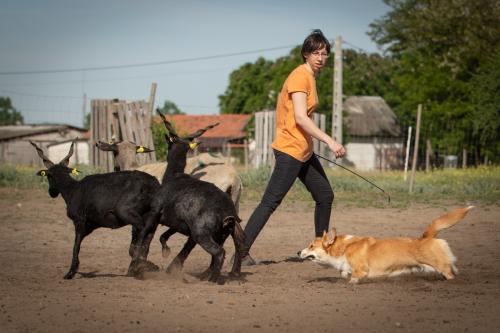 27073049 7229bcb7ba829ec5e36ba6ae14716d8e xl