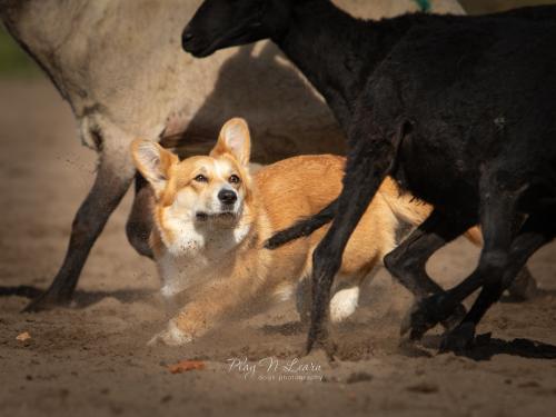 27073051 c7aa7f2572f7ee93256f8b449db451a0 xl