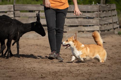 27073053 4c308de00fcd5d21bdaecc73acf55fc1 xl