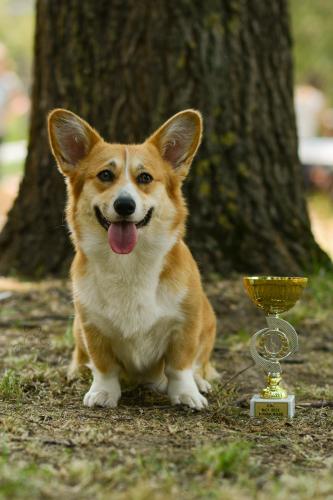 27080975 bead7a321e491965af4e53d386ac0f64 xl