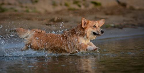 27116032 1629fca28c5661d65259725876bb57b0 xl