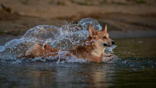 27116036 330feef559416723992b2ece5263c8eb xl