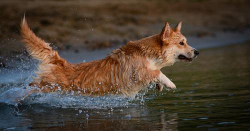 27116038 aa8cf4f4aed120e1e890e4a28dcd6d6a xl