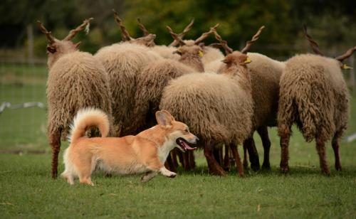 27126216 277b5836b5882a2a383de5c5414df9fa xl