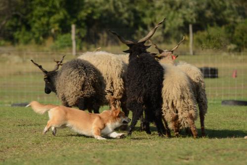 27126218 0a91c87cc19fd865f41f8e87a5b4b2d0 xl