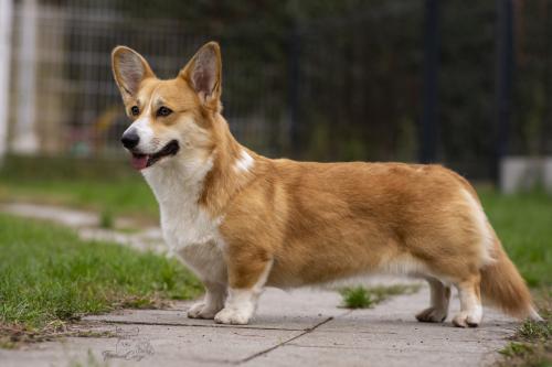 27130684 e7c8ecc125644dc7aac9be91df317107 xl