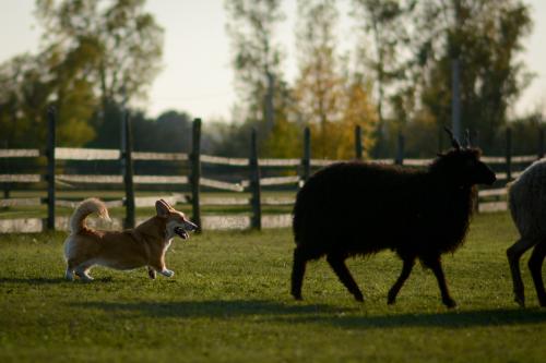 27130704 2f5ce0ada974df8093bc649b3b6bd882 xl