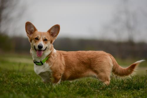 27182884 0b99b565f0c1fce3937deea766dfee84 xl