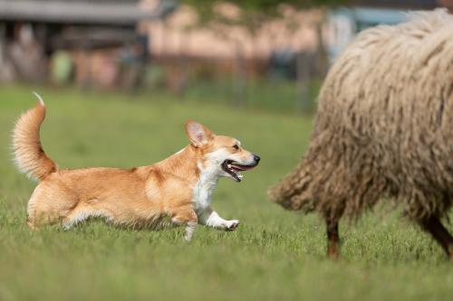 27190976 f169a95bce39a9f9aeedcd8fca6c18eb xl