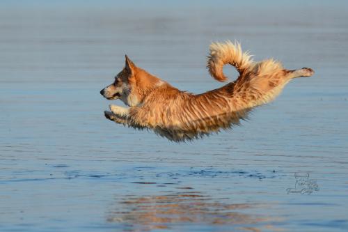 27225162 369a635ab90ecb0089c92efdd8b48751 xl