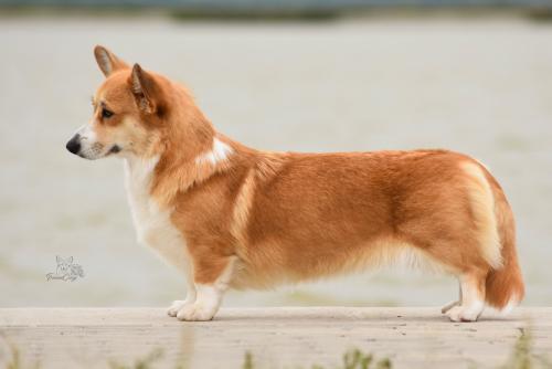 27228456 3ab61a07cff656f6ff55c177f5048697 xl