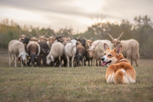 27251876 a97c4be66079d8cd33fa75be3c0ab0f9 xl