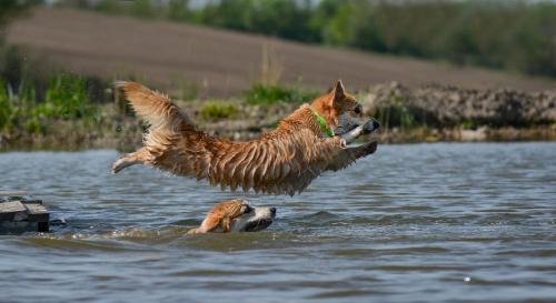 27290280 093a6f8a2fb9d9d99c081f56040fdc1d xl