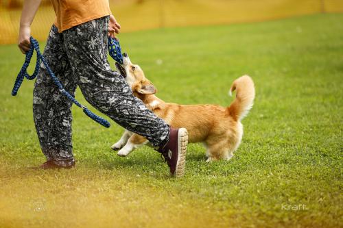 27308550 0d46e65c94f1d8ae3dd3081fca3f20e6 xl