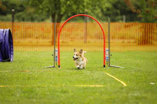 27308552 457c9a6ebfe792188f7ee82fb15270ef xl