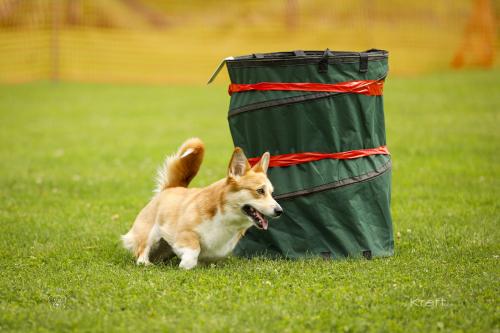 27308554 4b60ce2aa0dc8a364f06df294038a16c xl